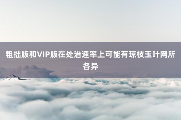 粗拙版和VIP版在处治速率上可能有琼枝玉叶网所各异