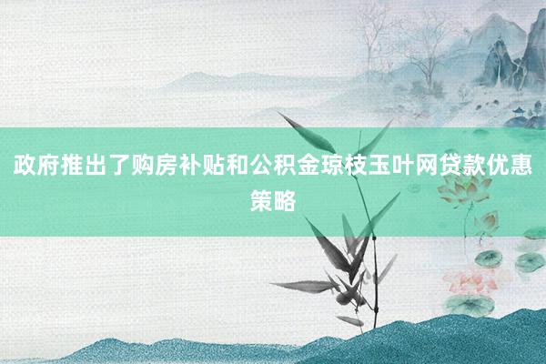 政府推出了购房补贴和公积金琼枝玉叶网贷款优惠策略